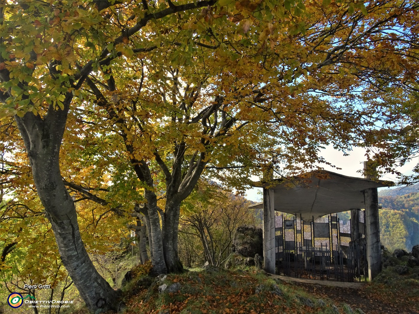 48 Cappella con il tetto a forma di foglia all'ombra di faggi colorati d'autunno .JPG